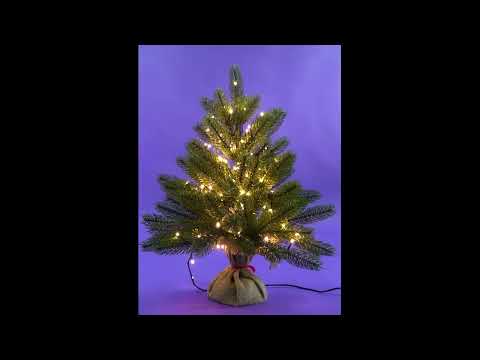 Ель искусственная "Бергамо" 60 см (литые ветки) Ель искусственная "Бергамо" 60 см (литые ветки)