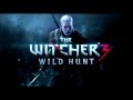 The Witcher 3 Soundtrack Ambient Version (Depth of Field Mix)