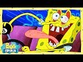 Bob Esponja reprueba sus exámenes de conducir | Bob Esponja en Español