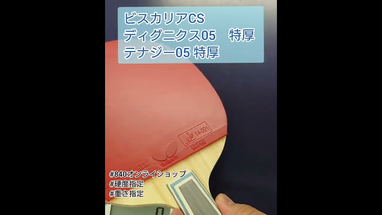 ラケット単体可】ビスカリア両面ディグニクス05特厚 不器用