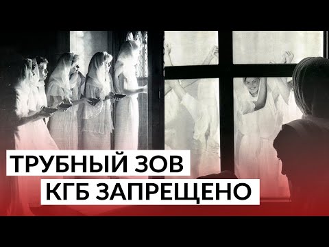 Видео: Какво е дружествена група?