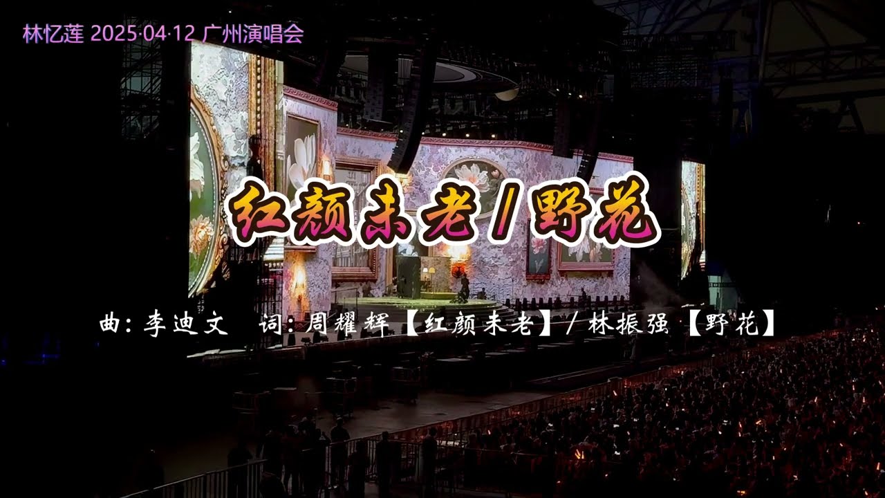 林憶蓮/林忆莲 《红颜未老》& 《野花》20250412广州演唱会
