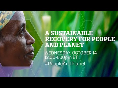 A Sustainable Recovery