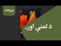 غږیز کتاب د لمنې اور ناول غږیز کتاب د لمنې اور ناول