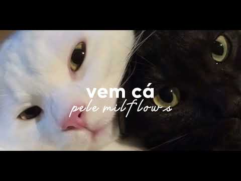 vem cá - speed up