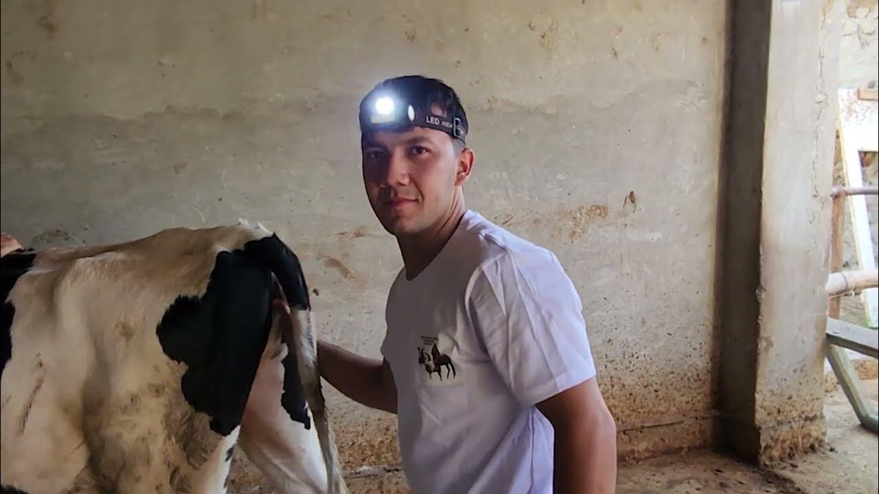 Idiots fohishaxonasi porno video