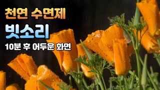 노란 꽃들과 듣는 빗소리ㅣ이명 치료 효과ㅣ10분후 어두운 화면ㅣwhitenoise