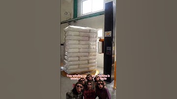 Pallet Wrapping Machine from 20 Years Manufacturer