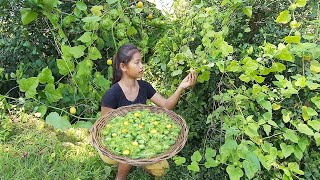 Survival in the forest - Passionflower fruit for eating delicious - Rina Adventure Anywhere