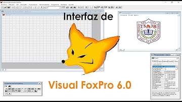 Video introductorio a Visual FoxPro 6.0 Interfaz