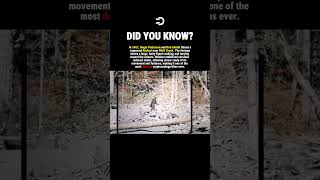 This Is The Most DEBATED Video #history #facts