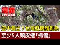 空中霸主？台灣藍鵲護雛鳥 至少5人頭皮遭「抓傷」【最新快訊】