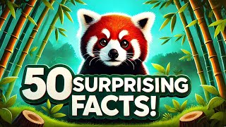 50 Surprising Facts About Red Pandas You Never Knew! 🐾 Profile