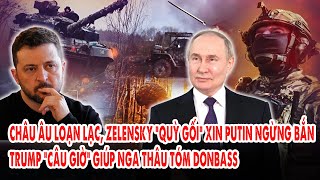 Châu Âu loạn lạc, Zelensky “quỳ gối” xin Putin ngừng bắn: Trump “câu giờ” giúp Nga thâu tóm Donbass
