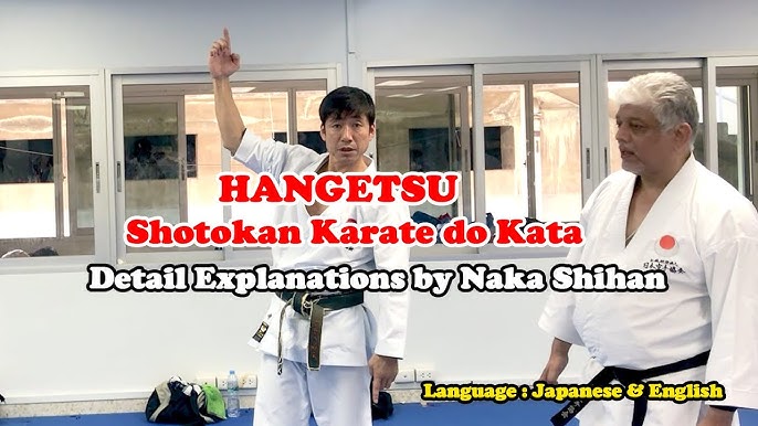 The Kata of Shorinjiryu – Nijushiho no Sai – shorinjiryu blog