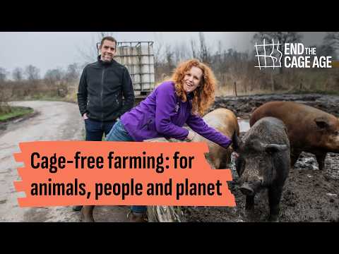 Happy, Healthy Animals: The Benefits of Outdoor Piglets & Regenerative Farming