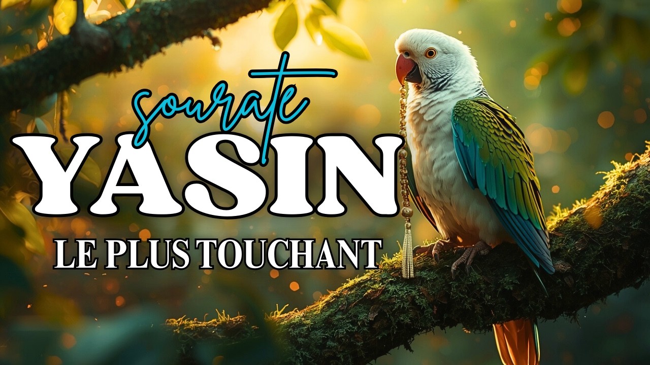 Sourate Yasin | le saint Ramadhan, le mois du pardon, Qu'Allah nous accorde Sa bénédiction