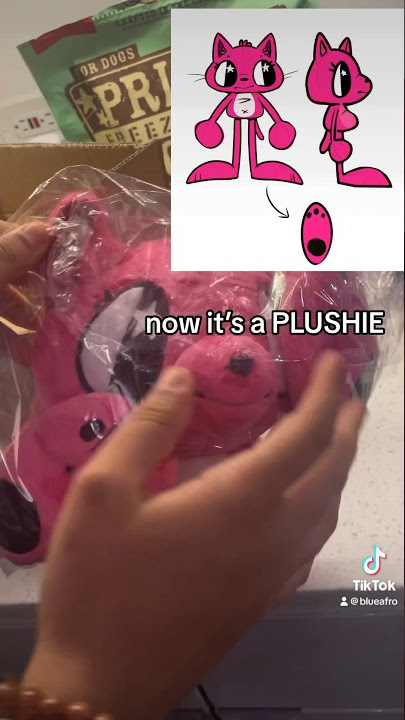 Unboxing Custom Plush Toy