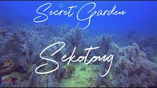 Download Lagu sekotong dive site - secert garden MP3