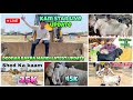 Deonar Bakra Mandi TuesdayLatest update 29 April 2025 EidSpeical update | Khassi Bakra Lo
