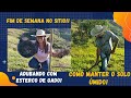 Trabalhando no Sítio - Adubando as mudas do pomar com esterco de gado + Começando Um sítio do zero