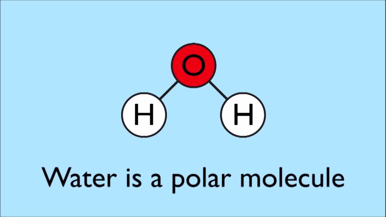 Water As A Solvent Video For Kids Water As A Solvent Video For Kids