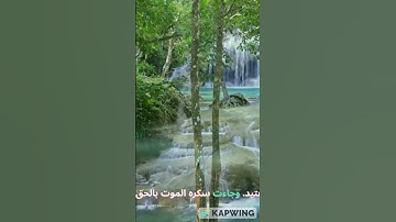وجاءت سكرة الموت بالحق تلاوة رائعه