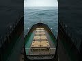 Reefer Ship CCTV: Bow Buried by Following-Sea Surge #Shorts