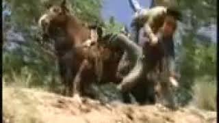 Wildfire Trailer 4x1 (1)