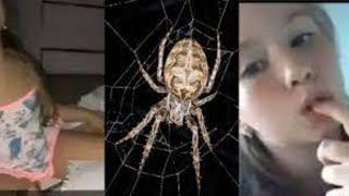 El video original de yeimi rivera la niña araña video viral de Facebook