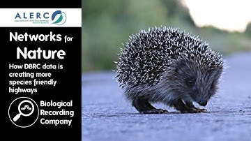 Networks for Nature: How DBRC Data is Creating More Species-friendly Highways