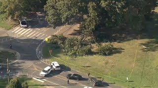 4 men hurt after tree falls in Fairmount Park in Philly