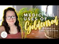 Medicinal Uses of GOLDENROD + Goldenrod TINCTURE (how-to)