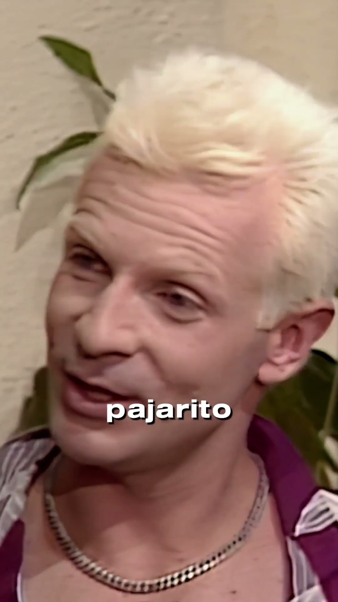 ¡Un pajarito! ? ? #tlnovelas #encarnepropia #shorts
