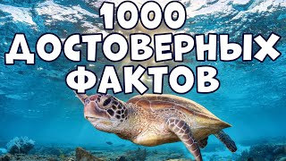 1000 ДОСТОВЕРНЫХ ФАКТОВ, КОТОРЫЕ ВЫ НЕ ЗНАЛИ