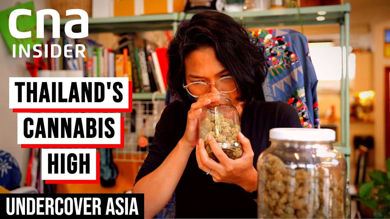 The Highs And Lows Of Thailand's Cannabis Rush | Undercover Asia