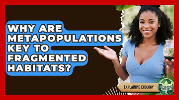 Why Are Metapopulations Key To Fragmented Habitats? - Explaining Ecology