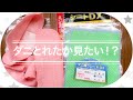 ダニとれた⁉️ダニ捕りシートでダニはとれるのか検証中 主婦  家事 DIY 情報