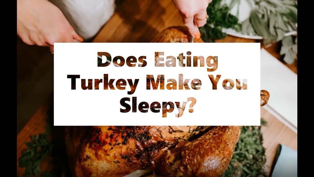 Thanksgiving Science: Does Eating Turkey Make You Sleepy? - YouTube