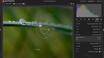 Darktable Flecken entfernen