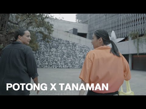 Potong x Tanaman collaboration | 4K