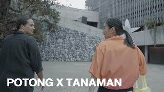 Potong x Tanaman collaboration | 4K