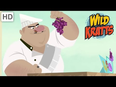 Wild Kratts - Stop The Endangered Species Chef | Kids Videos