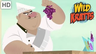 Wild Kratts  Stop The Endangered Species Chef | Kids Videos