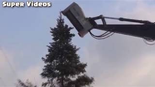Devil machine devours trees in a few seconds - Máquina do diabo devora árvores em alguns segundos
