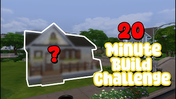 I attempted the 20-minute build challenge...