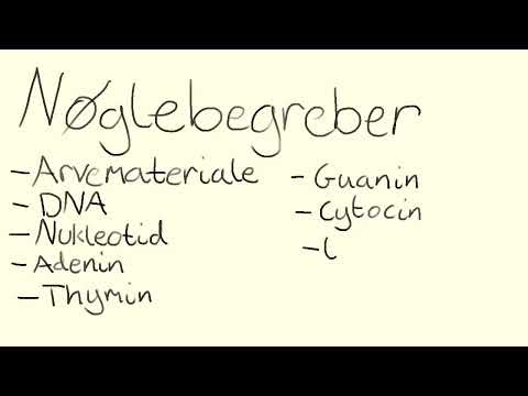 Video: Er nukleotider nukleinsyrer?