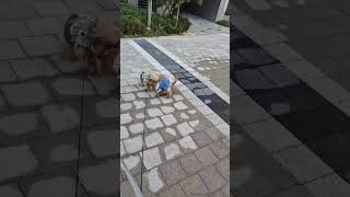 알콩이들!콧바람만 쐬도행복 만땅!!^^♡가족심리상담 화곡 우장산 가양 마곡♡