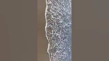 الموجه بتجري ورا الموجه 