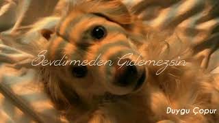 Dolu Kadehi Ters Tut - Sevdirmeden Gidemezsin (Lyrics) Resimi